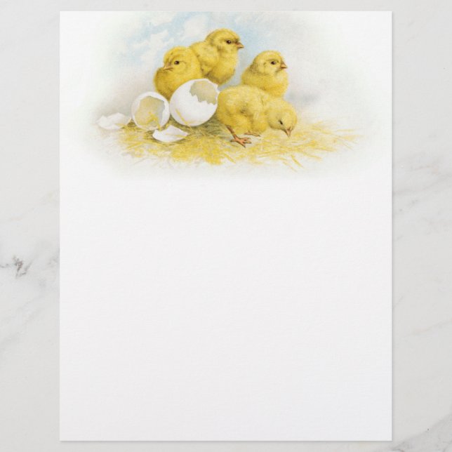 Vintage Baby Chickens (Front)