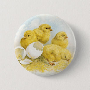 Vintage Baby Chickens 6 Cm Round Badge