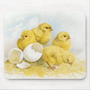 Vintage Baby Chickens Mouse Pad