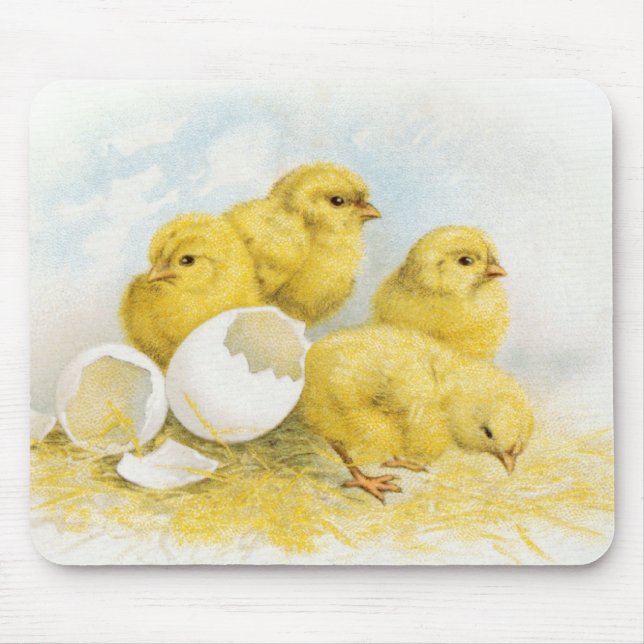 Vintage Baby Chickens Mouse Pad (Front)