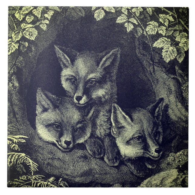 Vintage baby fox woodland tile (Front)