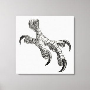 Vintage Bald Eagle Claw Personalised Bird Claws Canvas Print