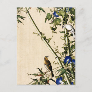 Vintage Bamboo and Blue Morning Glory Art Postcard