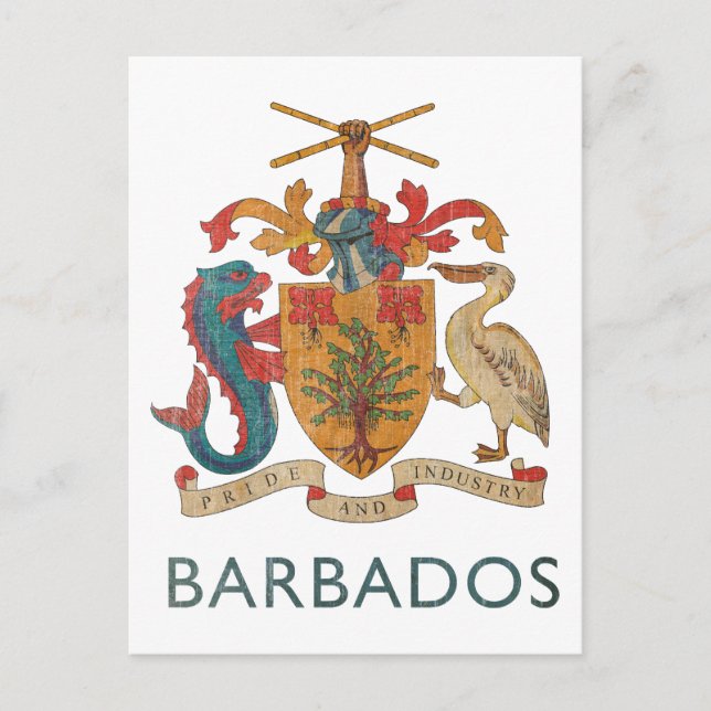 Vintage Barbados Postcard (Front)