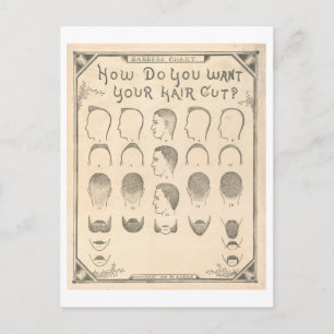 Vintage Barber Chart Postcard