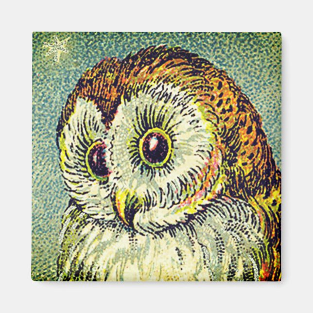 Vintage barn owl cute illustration starry night magnet (Front)