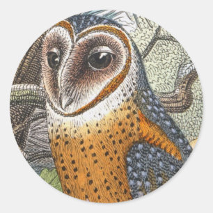 Vintage Barn Owl Painting Classic Round Sticker