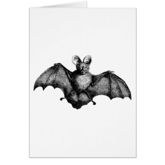 Vintage Bat