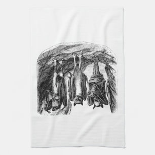 Vintage Bat 1800s Flying Fox Bat Tea Towel