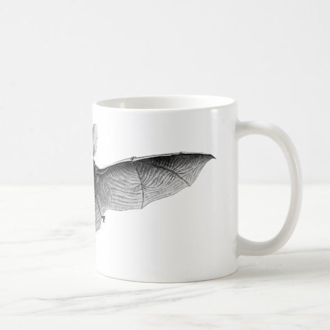 Vintage Bat Illustration Coffee Mug (Right)