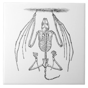Vintage Bat Skeleton - Bats and Halloween Templat Tile