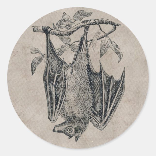 Vintage Bat Sticker (Front)