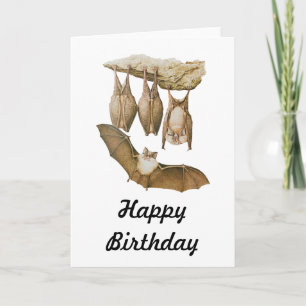 Vintage Bats Illustration, Animal Drawing Card