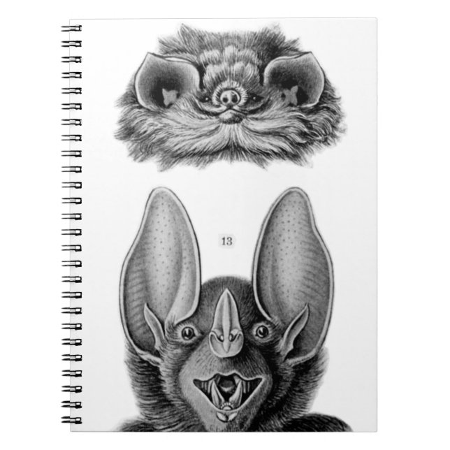 Vintage Bats Notebook for Vampires (Front)