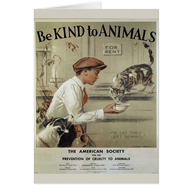 Vintage - Be Kind to Animals - Abandoned Animals, (Front)