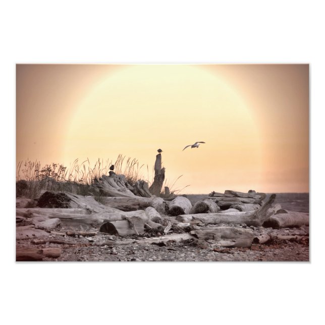 Vintage Beach Scene Photo Print (Front)