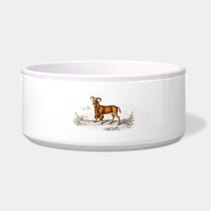 Vintage Bearded Goat Illustration Retro Old Goats