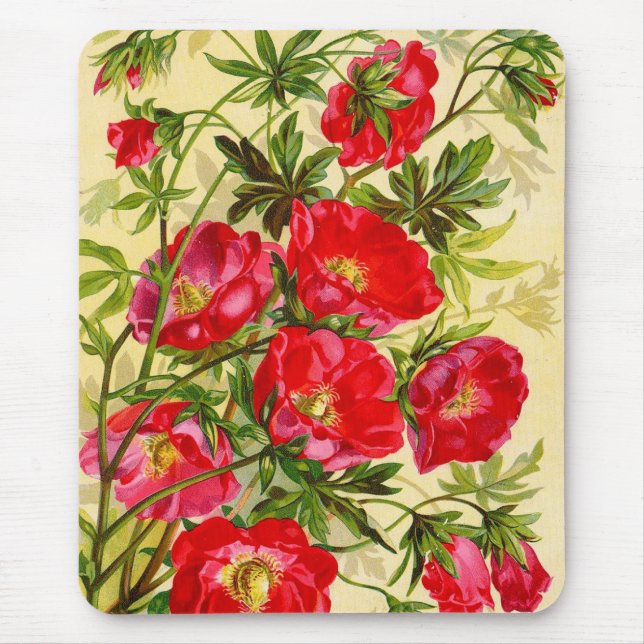Vintage Beauties Floral Mousepad (Front)