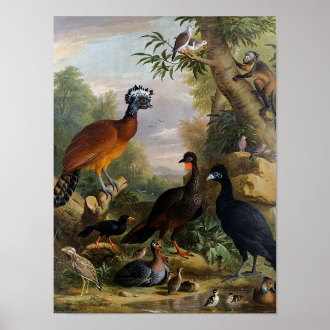 Vintage Beautiful Birds in A Landscape   Poster (Front)
