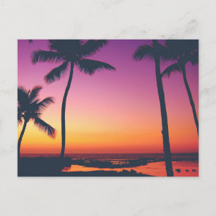 Vintage Beautiful Island Beach Sunset Postcard
