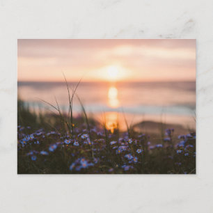Vintage Beautiful Island Beach Sunset Postcard