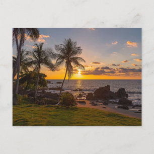 Vintage Beautiful Island Beach Sunset Postcard