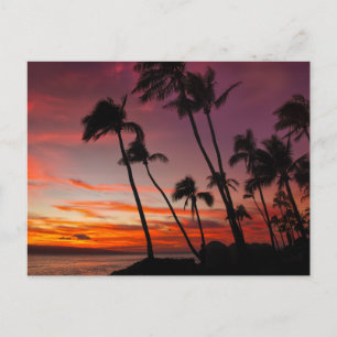 Vintage Beautiful Island Beach Sunset Postcard