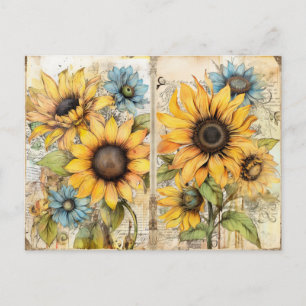 Vintage. Beautiful sunflowers. Holiday Postcard