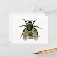 Vintage Bee Black and Yellow Antique Honey Bees
