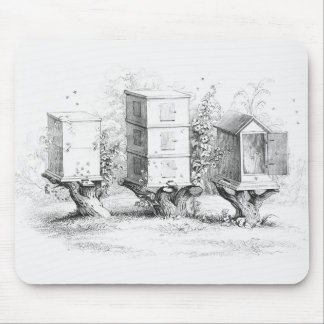 Vintage Bee Boxes Honey Mouse Pad