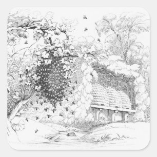 Vintage Bee Hives Square Sticker