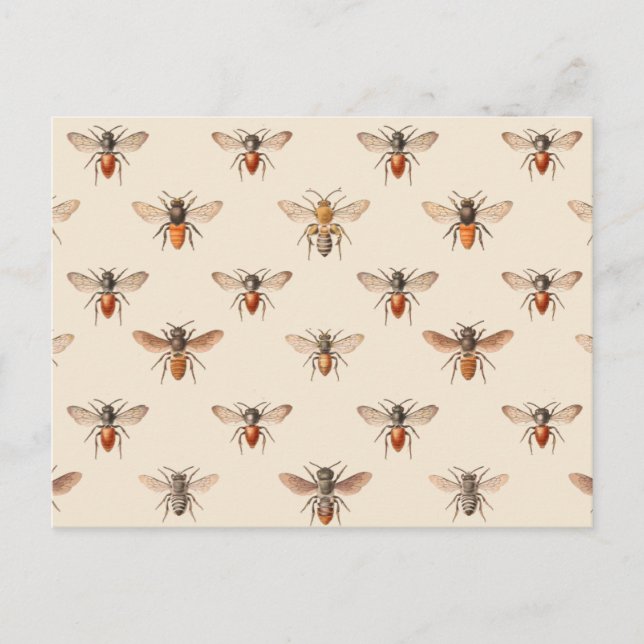 Vintage Bee Illustration Pattern Postcard (Front)