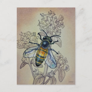 Vintage Bee No. 7 and Wildflowers Watercolor Art Postcard