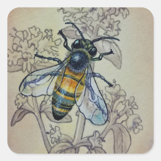 Vintage Bee No. 7 Wildflowers Watercolor Art Square Sticker