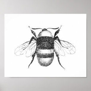 Vintage bee print