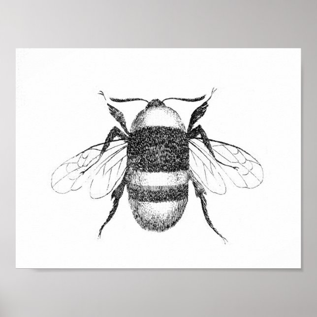 Vintage bee print (Front)