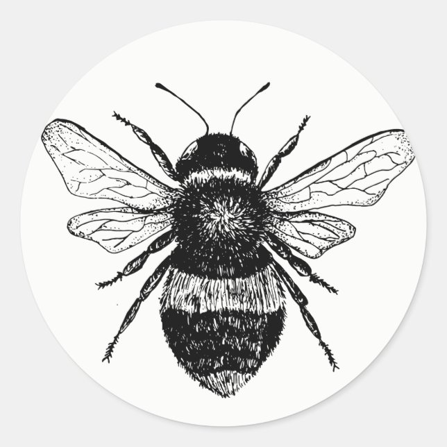 Vintage Bee Sticker Collection (Front)
