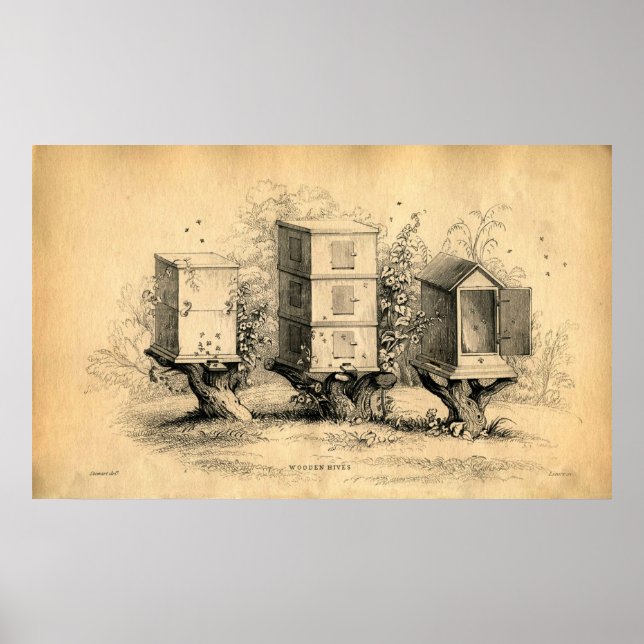Vintage Beekeeping Beehives Beehive Print (Front)