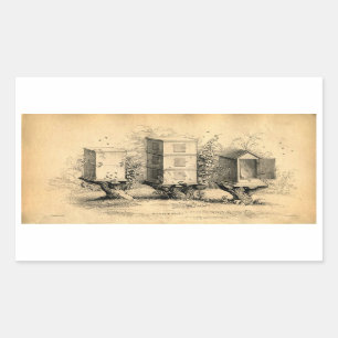 Vintage Beekeeping Beehives Beehive Rectangular Sticker