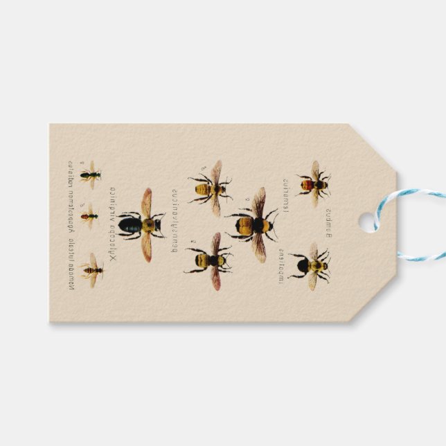 Vintage Bees Gift Tags (Front (Horizontal))