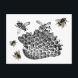 Vintage Bees Postcard<br><div class="desc">This vintage honeycomb bee collage is perfect for honey lovers and bee lovers.</div>