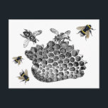 Vintage Bees Postcard<br><div class="desc">This vintage honeycomb bee collage is perfect for honey lovers and bee lovers.</div>