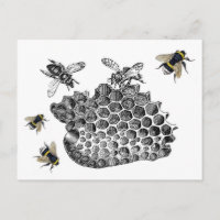 Vintage Bees