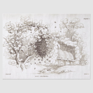 Vintage Bees Swarming Tissue Paper