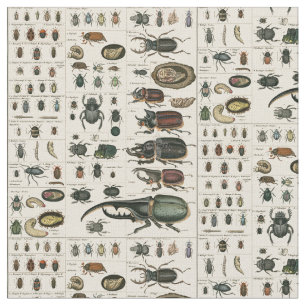 Vintage Beetle Illustration Fabric