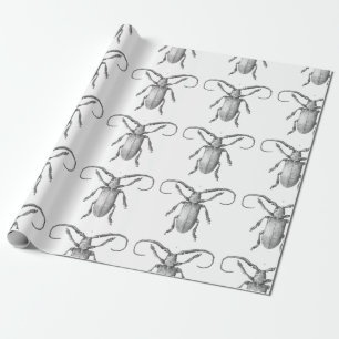 Vintage beetle illustration gift paper