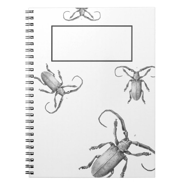 Vintage beetle illustration notebook (Front)