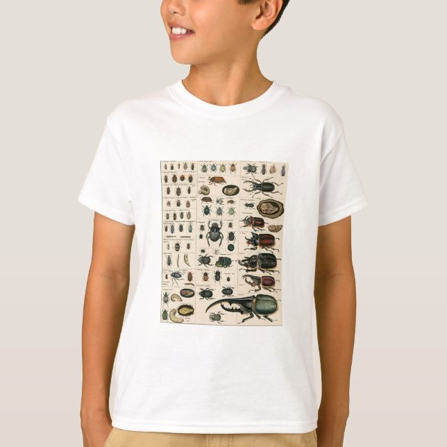 Vintage Beetle Illustration T-Shirt (Front)