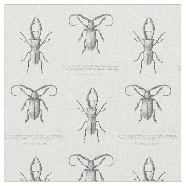 Vintage beetle illustration textile fabric (Close Up)