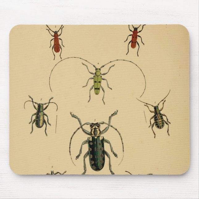 Vintage Beetle Mousepad (Front)